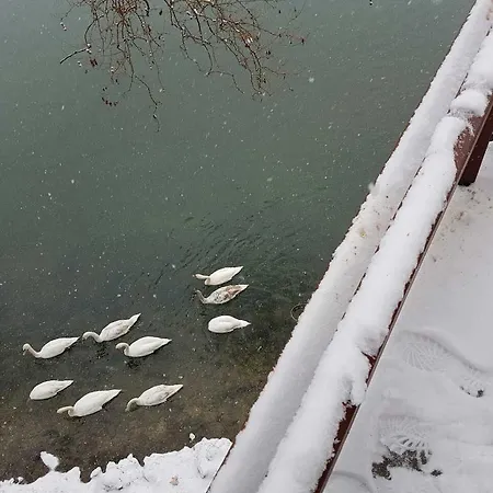 Vrbas Ξενοδοχείο